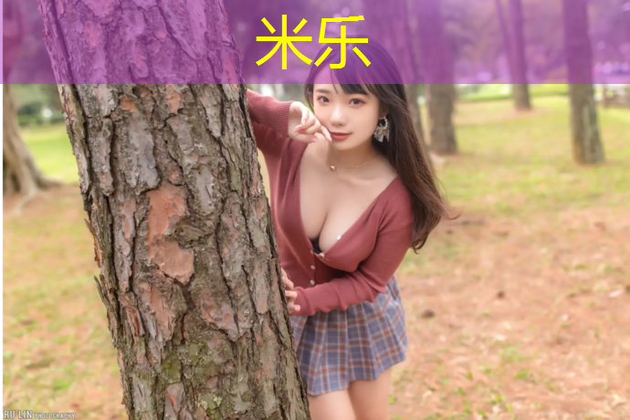 <strong>米乐：网球网孔大小</strong>